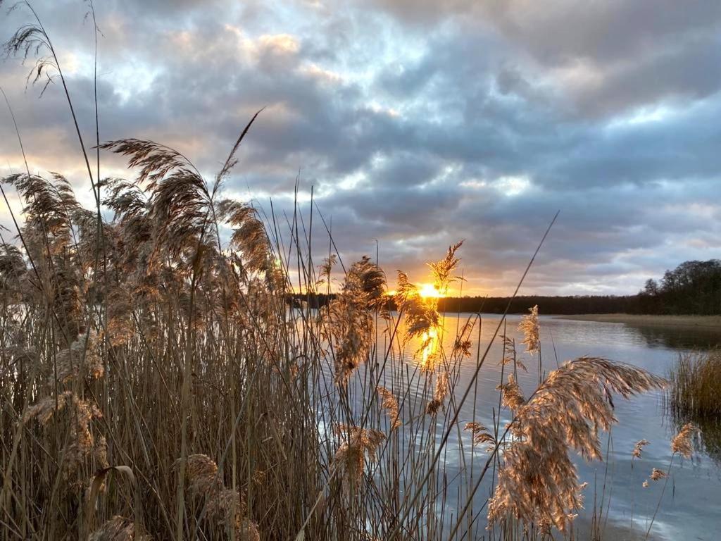Ferienhaus Direkt Am See Uckermark Темплин Экстерьер фото